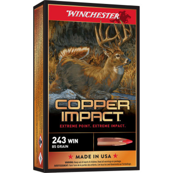 WIN DEER SEASON LF 243WIN 85GR 20/20