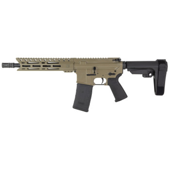 DBF DB15 300BLK 10" 30RD FDE BRACE